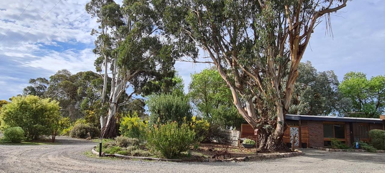 Halls Haven Holiday Units Halls Gap Exterior foto